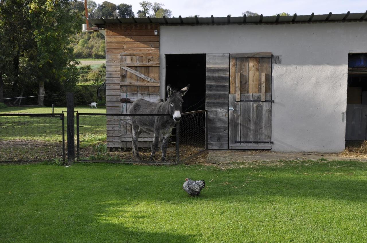La Maison Du Bonheur "Le Gite" Saint-Ouen-sous-Bailly Exteriér fotografie