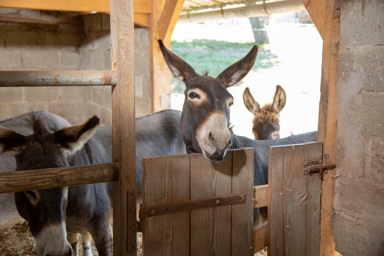 La Maison Du Bonheur "Le Gite" Saint-Ouen-sous-Bailly Exteriér fotografie